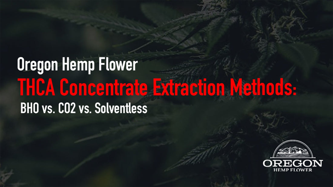 BHO vs. CO2 vs. solventless: a technical breakdown of THCA concentrate extraction methods, purity, and flavor — so you know exactly what you're dabbing.