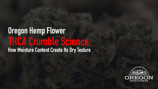 Explore the extraction science behind THCA crumble's dry, crumbly texture — and how purging and moisture control shape this unique concentrate.