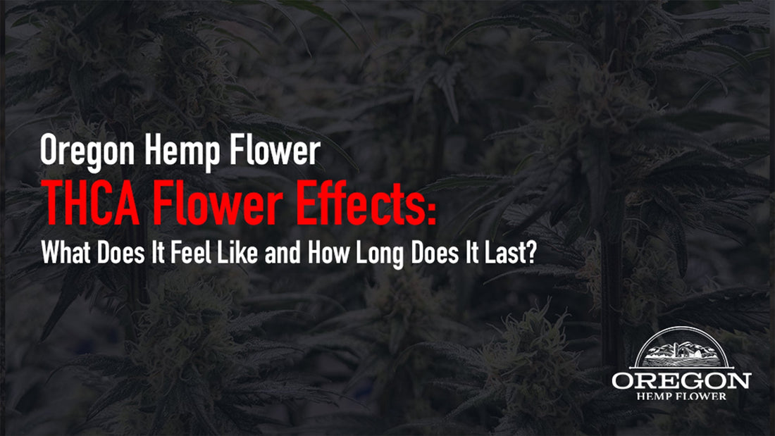 Wondering what THCA flower actually feels like? Discover the full THCA flower experience — onset time, peak effects, how long it lasts.