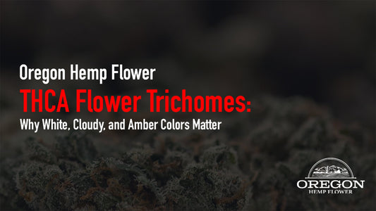 Learn what white, cloudy, and amber trichome colors mean for THCA potency, effects, and harvest timing — your complete trichome color guide.