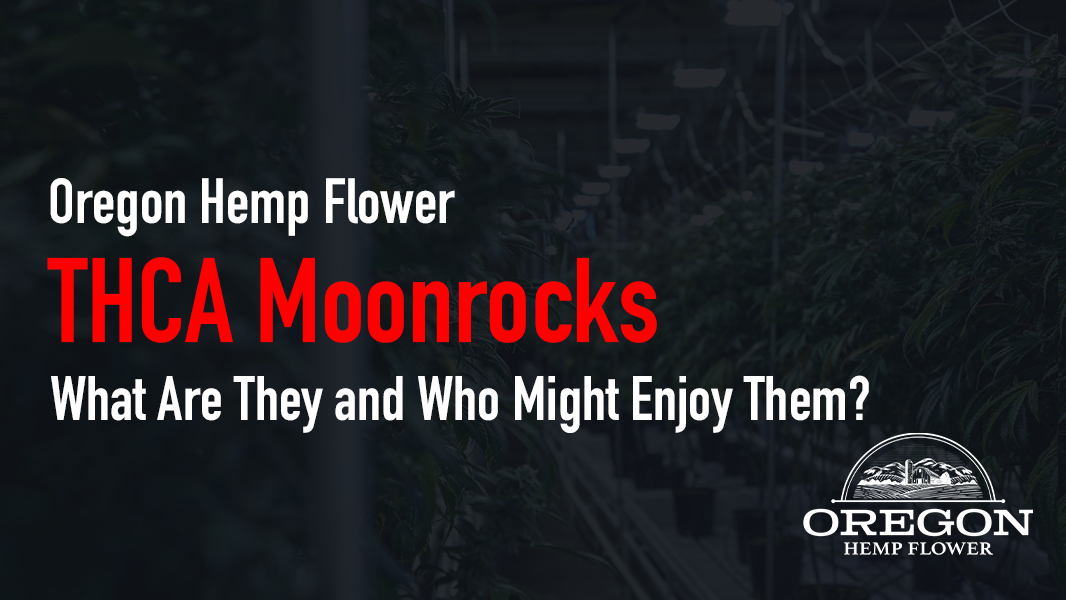 THCA Moonrocks—What Are They and Who Might Enjoy Them
