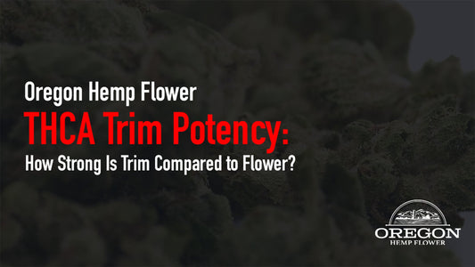THCA trim potency explained — see how trim compares to flower by percentage, what affects strength, and how to verify quality before buying wholesale.