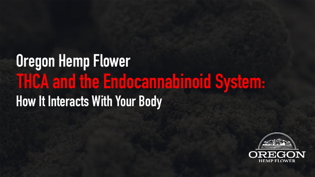 Learn the science behind THCA's unique relationship with CB1, CB2, and other receptors — and what it means for your wellness.