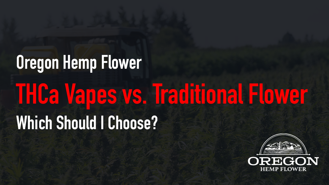 THCa Vapes vs. Traditional Flower—Which Should I Choose?