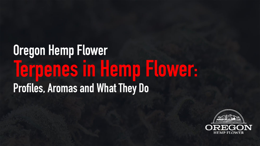 Hemp flower resin glands in sharp focus