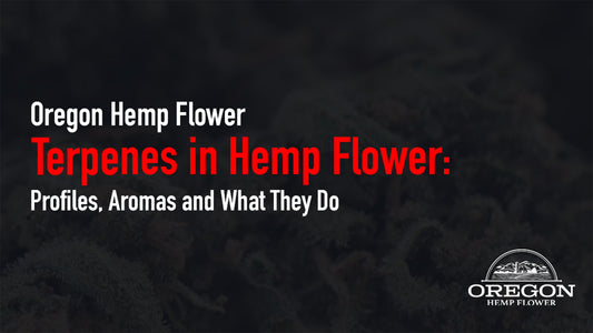 Hemp flower resin glands in sharp focus