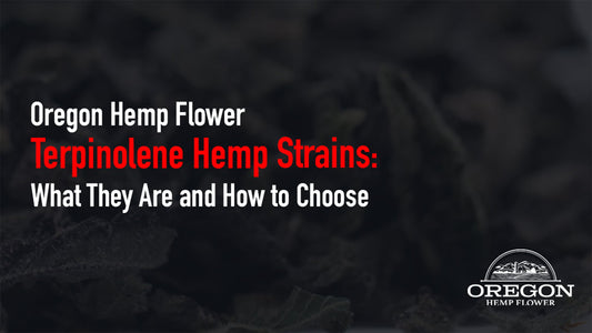 Terpinolene hemp strains explained: which cultivars tend to carry it, what the science says about effects, and how to confirm it on a COA before you buy.