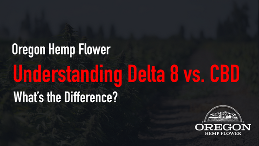 Understanding Delta 8 vs. CBD—What’s the Difference?