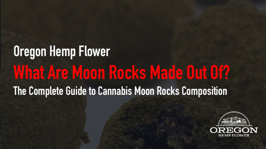 What Are Moon Rocks Made Out Of? 