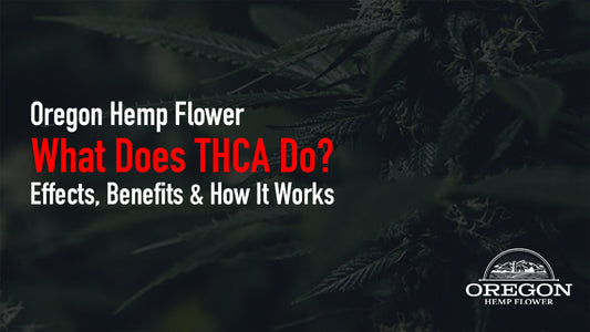 Discover how THCA interacts with your body, the reported anti-inflammatory, neuroprotective, and anti-nausea properties.