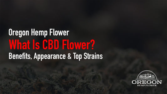 What is CBD flower and how it works? Explore CBD hemp flower benefits, what it looks like, the strongest CBD flower strains, and how it compares to THCA flower.
