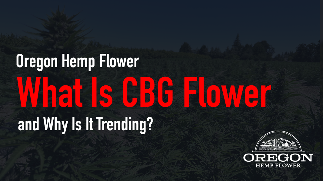 What Is CBG Flower, and Why Is It Trending?