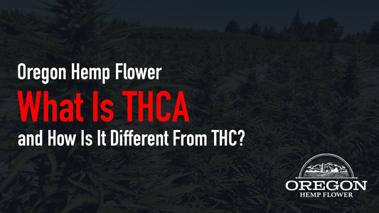 What Is THCA and How Is It Different From THC?