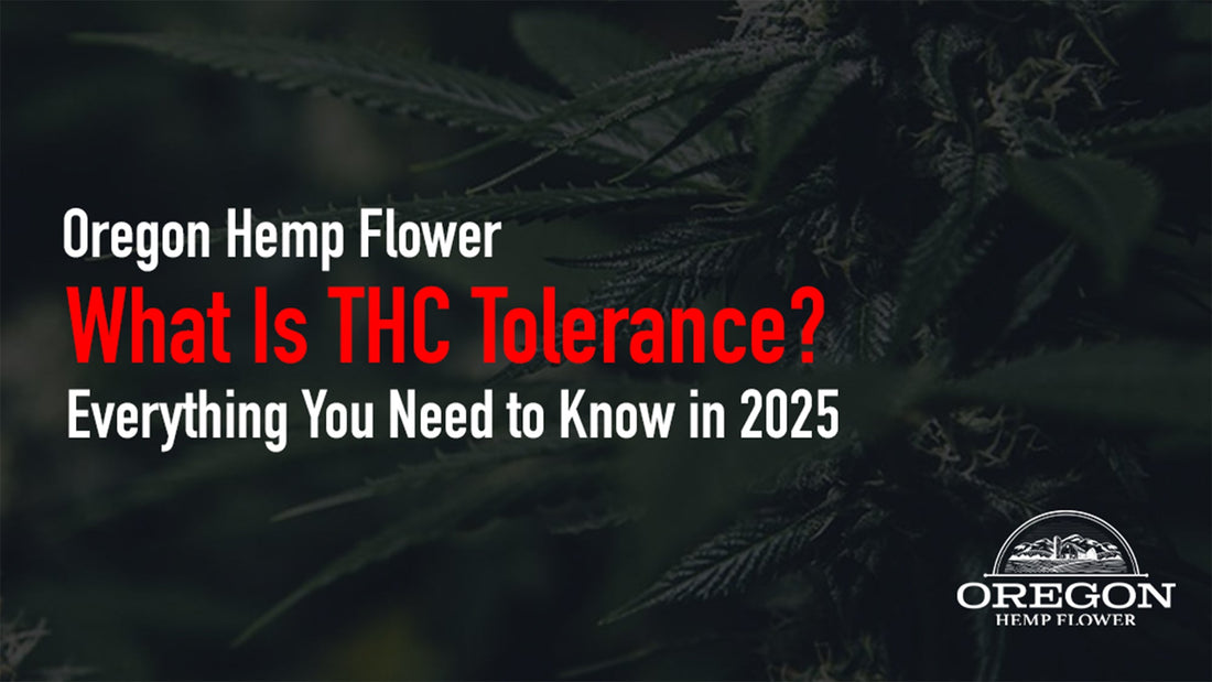 What Is THC Tolerance?  Everything You Need to Know in 2025