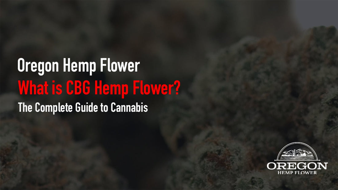 What is CBG Hemp Flower? 