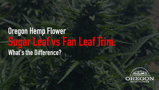 Sugar leaf trim vs fan leaf: compare potency, flavor, uses, and price. Learn how to spot quality THCA sugar leaf and read a COA before you buy.