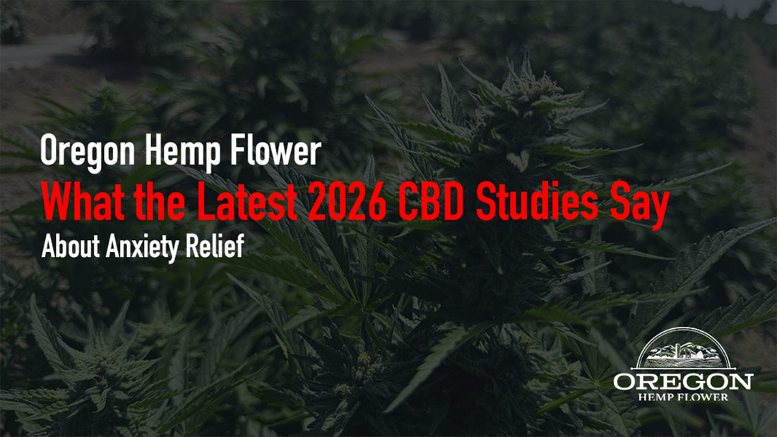 Wondering if CBD really helps anxiety? We break down the most important CBD anxiety studies of 2026 and what they mean for everyday users.