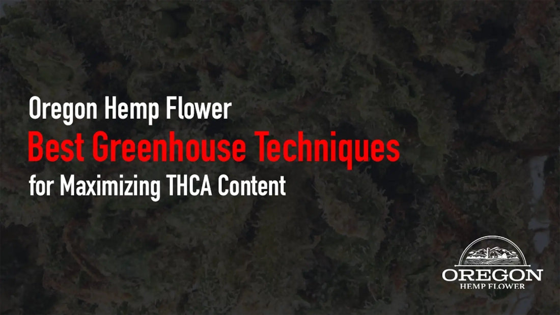 Best Greenhouse Techniques