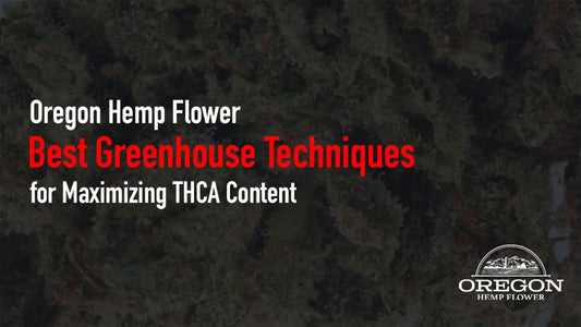 Best Greenhouse Techniques