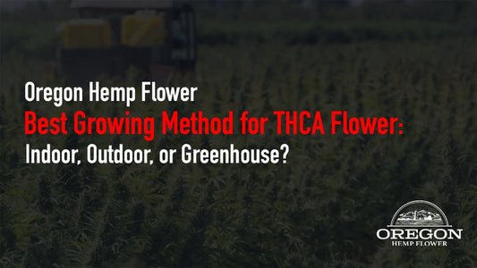 Best Growing Method for THCA Flower