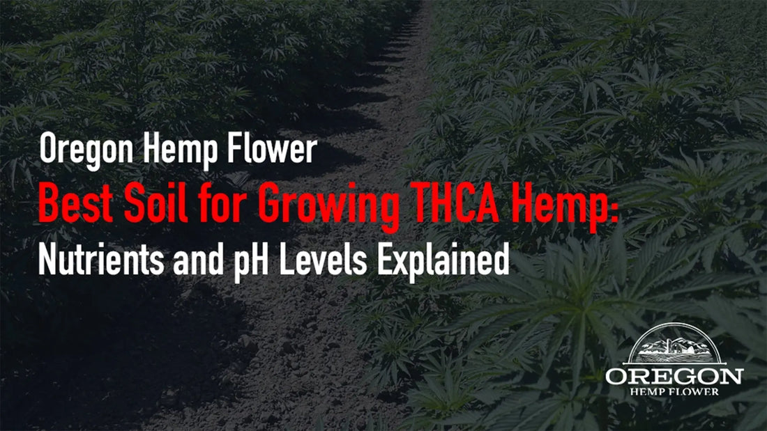 Best Soil for Growing THCA Hemp