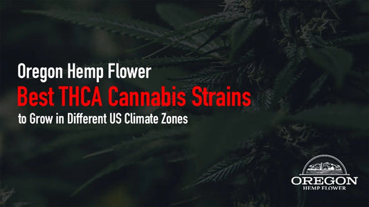 Best THCA Cannabis Strains