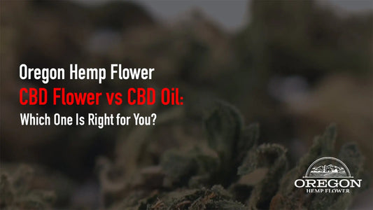 CBD Flower vs CBD Oil