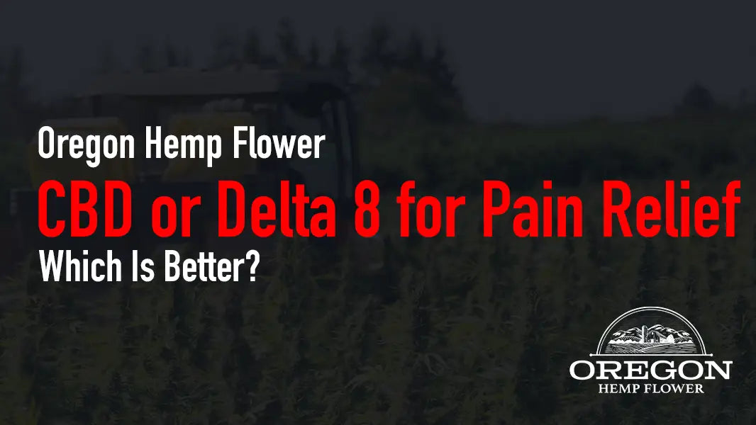 CBD or Delta 8 for Pain Relief—Which Is Better?