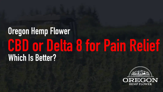 CBD or Delta 8 for Pain Relief—Which Is Better?