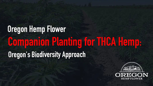 Companion Planting for THCA Hemp: Oregon’s Biodiversity Approach