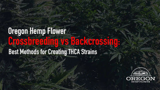 Crossbreeding vs Backcrossing