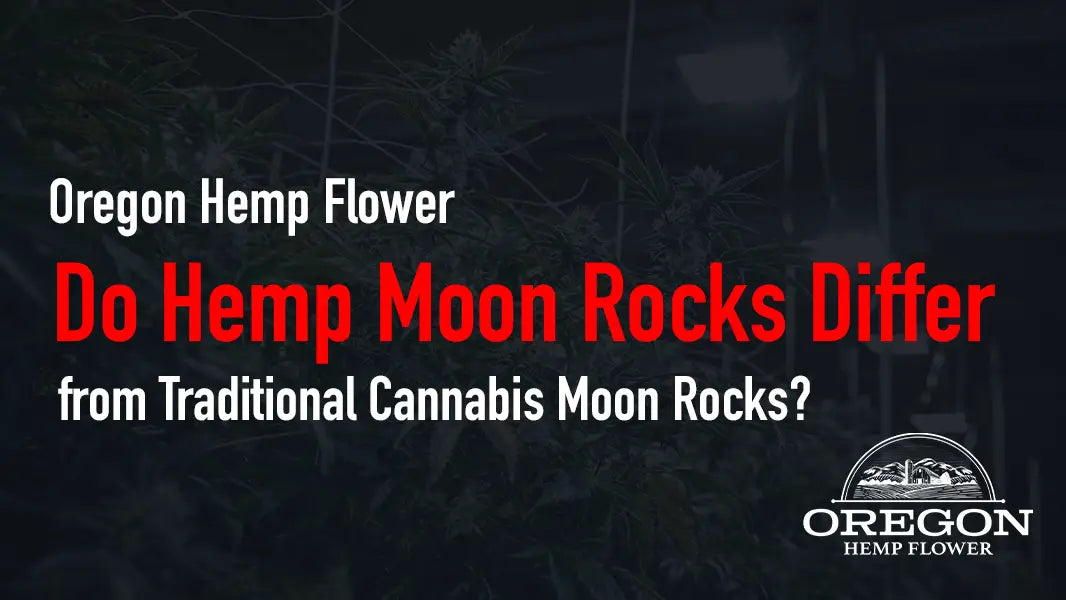 Do Hemp Moon Rocks Differ from Traditional Cannabis Moon Rocks?