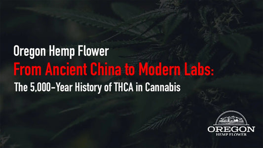 From Ancient China to Modern Labs