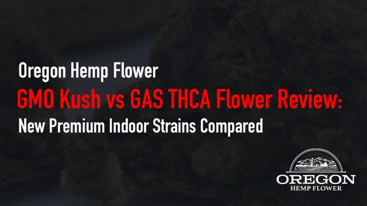 GMO Kush vs GAS THCA Flower Review: