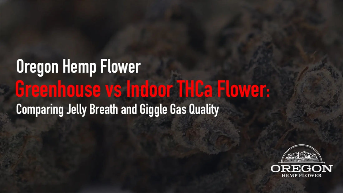 Greenhouse vs Indoor THCa Flower: Comparing Jelly Breath and Giggle Gas Quality