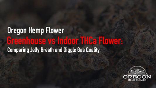 Greenhouse vs Indoor THCa Flower: Comparing Jelly Breath and Giggle Gas Quality