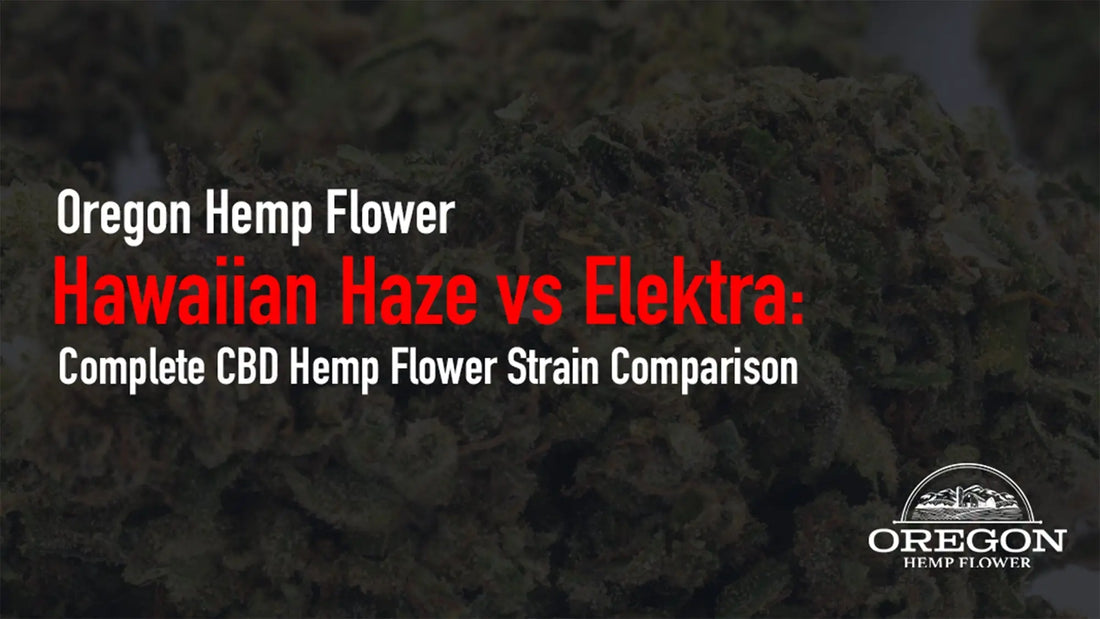 Hawaiian Haze vs Elektra