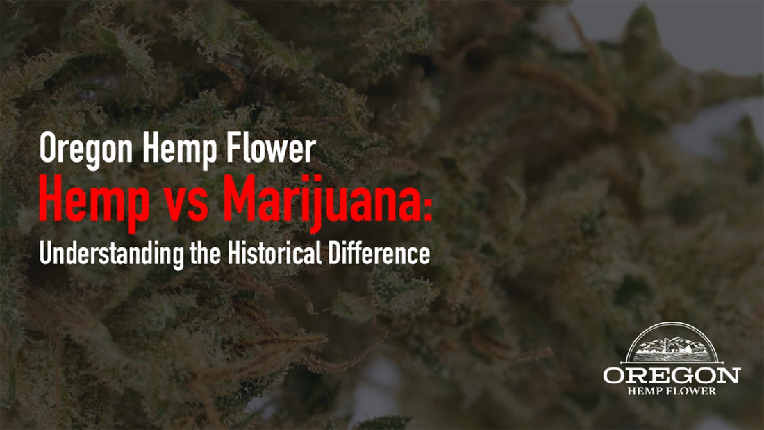 Hemp vs Marijuana: Understanding the Historical Difference and Legal Split