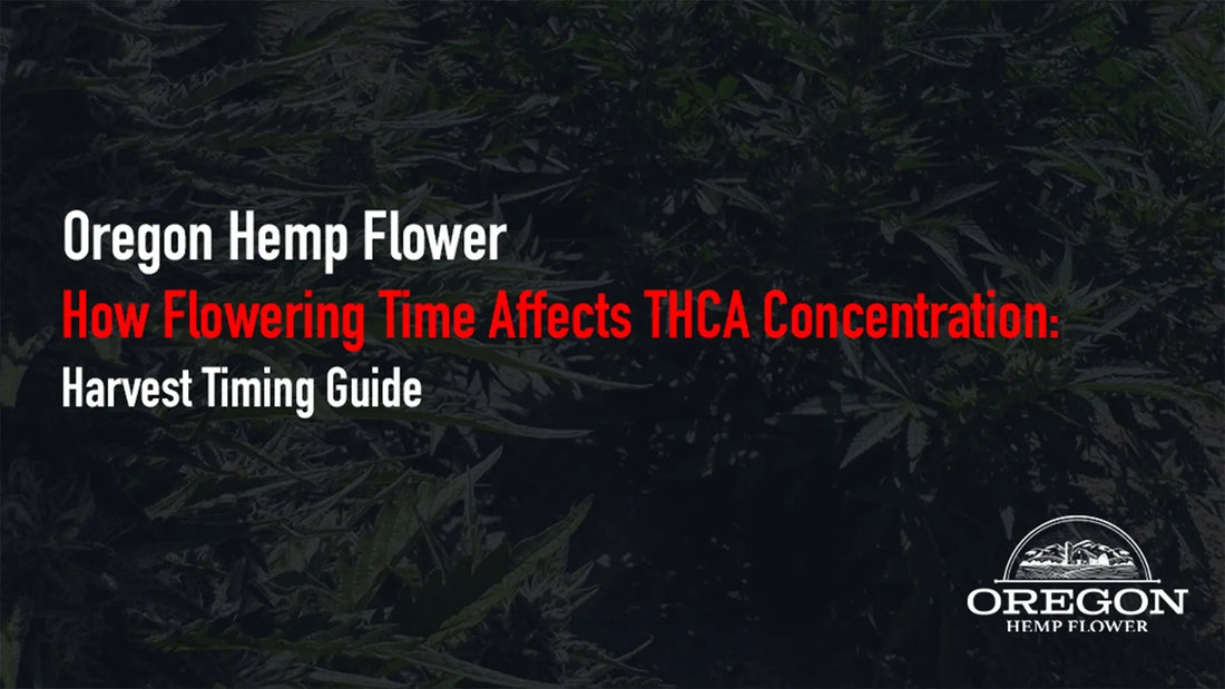 How Flowering Time Affects THCA Concentration