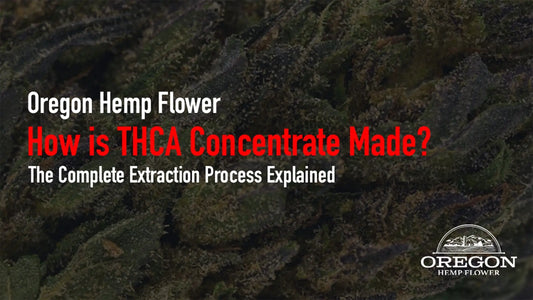 How is THCA Concentrate Made?