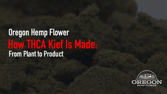 How THCA Kief Is Made