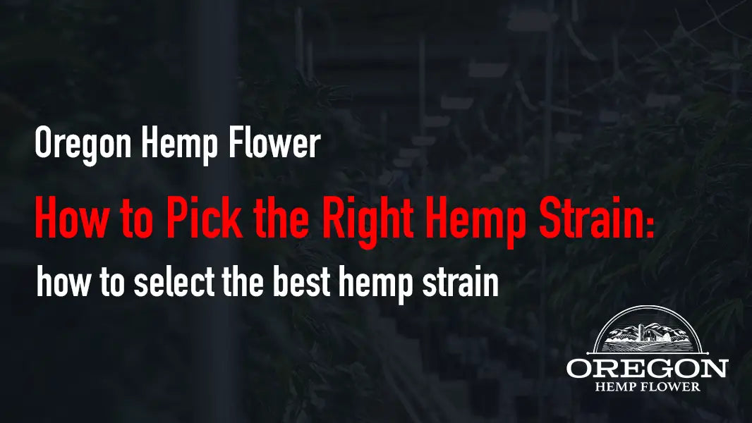 How to Pick the Right Hemp Strain: how to select the best hemp strain