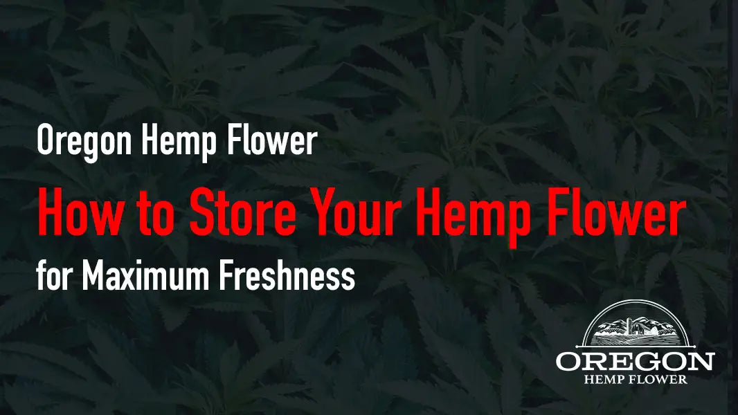 How to Store Your Hemp Flower for Maximum Freshness