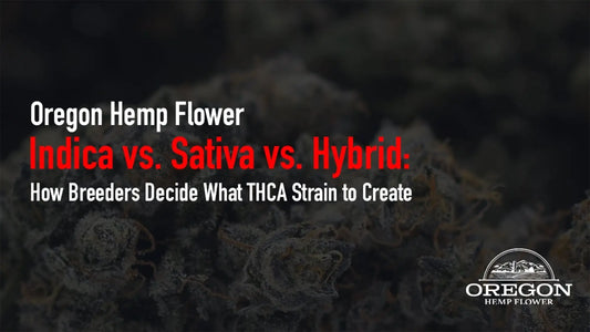 Indica, sativa, or hybrid — how do breeders decide which direction to take a new THCA strain? Explore the science and strategy behind cannabis.