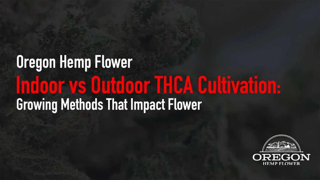 Indoor vs Outdoor THCA Cultivation