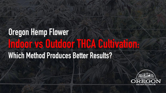 Indoor vs Outdoor THCA Cultivation