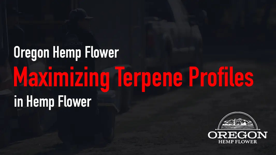 Maximizing Terpene Profiles in Hemp Flower