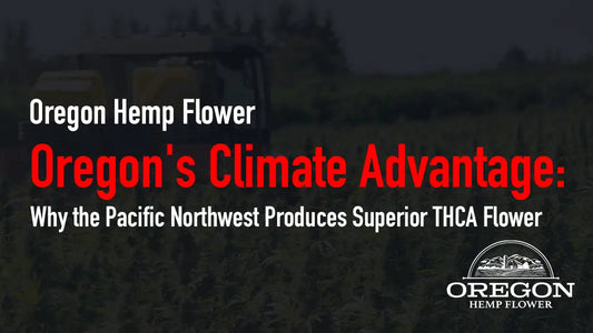 Oregon’s Climate Advantage: Why the Pacific Northwest Produces Superior THCA Flower