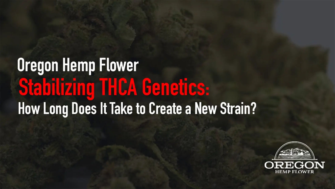 Stabilizing THCA Genetics