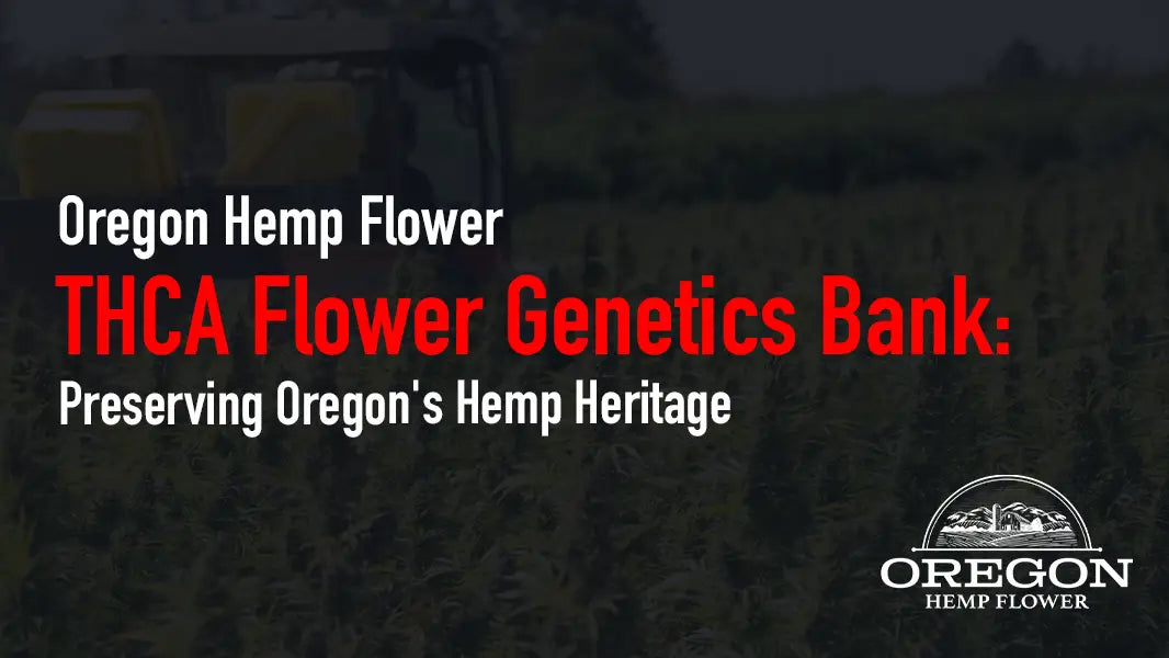 THCA Flower Genetics Bank: Preserving Oregon’s Hemp Heritage